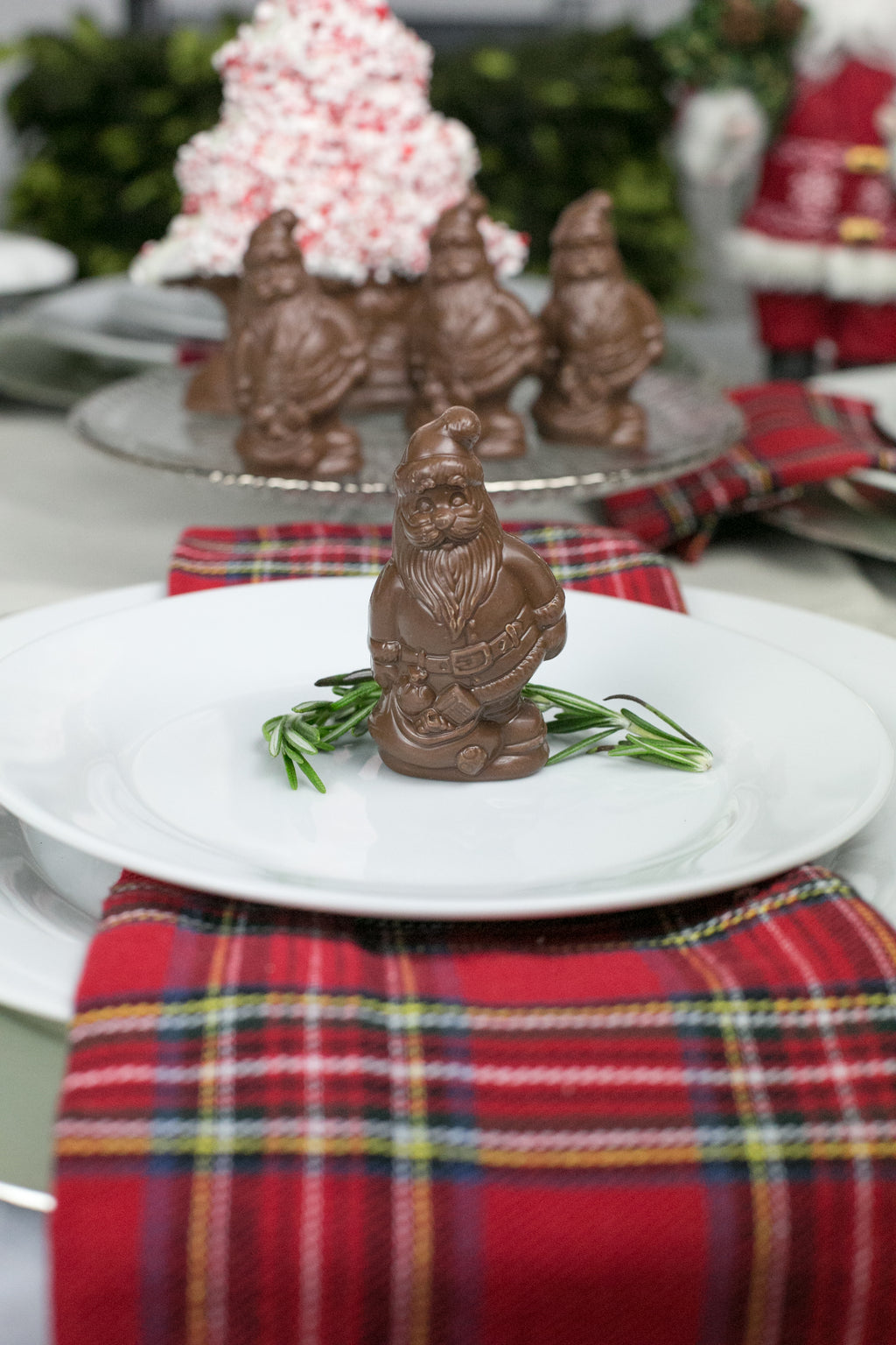 Chocolate Santa Place Setting