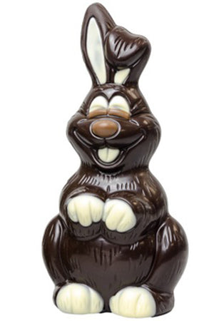 Chocolate Easter Bunny