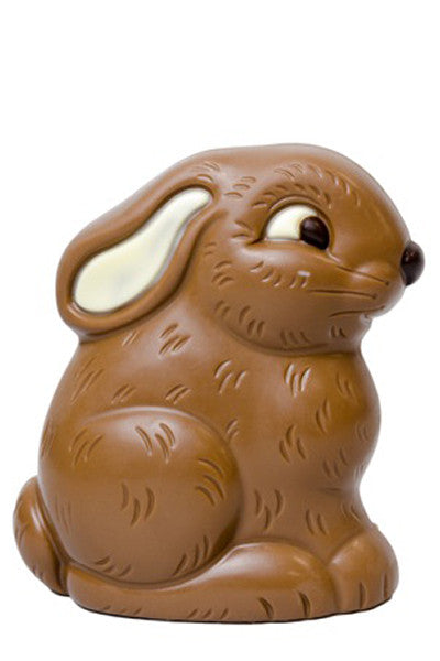 Chocolate Easter Bunny